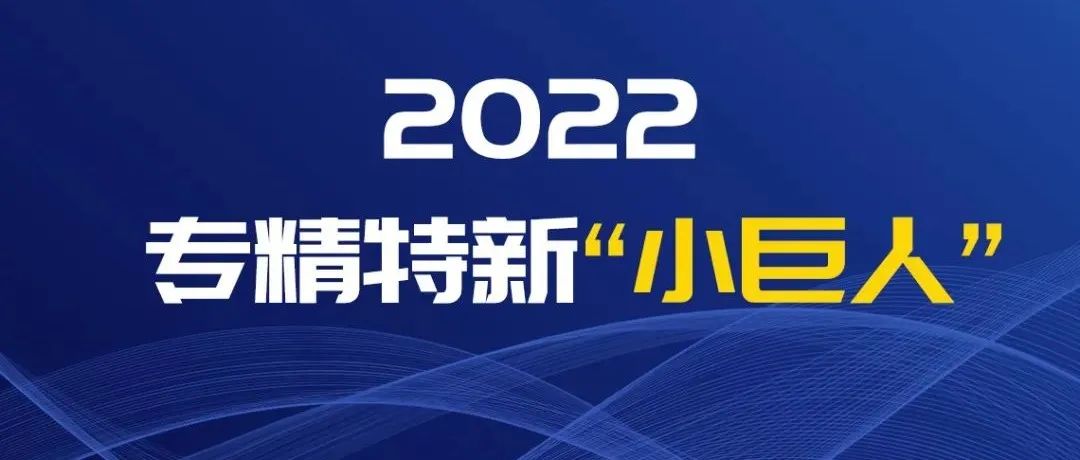 2022專(zhuān)精特新小巨人.jpg